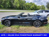 Used 2022 Ford Mustang Premium image 2