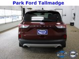 Used 2021 Ford Escape SE w/ Convenience Package image 4