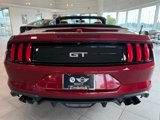 Used 2019 Ford Mustang GT Premium w/ GT Performance Package image 3