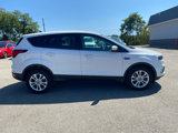 Used 2019 Ford Escape SE image 4