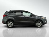 Used 2019 Ford Escape SE image 6