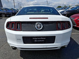 Used 2014 Ford Mustang Coupe image 5