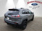 Used 2019 Jeep Cherokee Trailhawk image 3