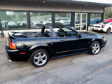 Used 1999 Ford Mustang Cobra image 5