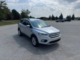 Used 2019 Ford Escape SEL image 3