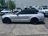 Used 2009 Ford Mustang GT image 5