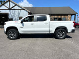 Used 2019 Chevrolet Silverado 1500 LT w/ Texas Edition image 2