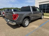 Used 2023 Ford F150 XLT image 3