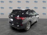 Used 2024 Ford Escape ST-Line image 5
