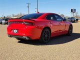 Used 2023 Dodge Charger SXT w/ Blacktop Special Edition image 5