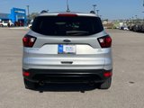 Used 2019 Ford Escape SE image 4