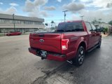 Used 2017 Ford F150 XLT w/ Equipment Group 302A Luxury image 5