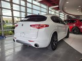 Used 2021 Alfa Romeo Stelvio Ti w/ Premium Package image 3