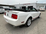 Used 2009 Ford Mustang Premium image 6