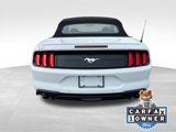 Used 2022 Ford Mustang Premium image 4