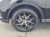 Certified 2017 Toyota RAV4 SE image 4