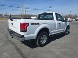 Used 2016 Ford F150 XL w/ Equipment Group 101A Mid image 5