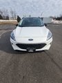 Used 2022 Ford Escape SEL w/ SEL Stealth AWD Package image 2