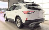 Used 2020 Ford Escape SE image 4