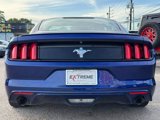 Used 2016 Ford Mustang Coupe w/ Equipment Group 051A image 5