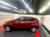Used 2013 Ford Escape SEL image 5