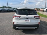 Used 2020 Ford Escape SEL image 5