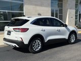 Used 2020 Ford Escape SE image 3