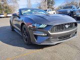 Used 2020 Ford Mustang Premium image 5