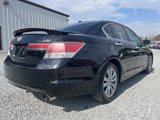 Used 2012 Honda Accord EX-L image 4