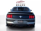 Used 2019 Ford Mustang Premium w/ Equipment Group 201A image 6