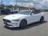Certified 2019 Ford Mustang Premium image 3