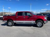 Used 2014 Ford F150 XLT w/ Equipment Group 302A Luxury image 4