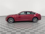 Certified 2025 Cadillac CT5 Premium Luxury w/ Platinum Package image 6