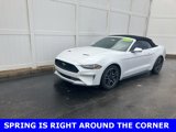 Used 2020 Ford Mustang Premium image 3