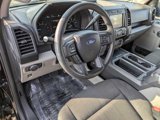 Certified 2019 Ford F150 XL w/ Equipment Group 101A Mid image 2