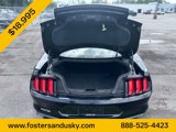 Used 2019 Ford Mustang Coupe image 5