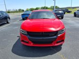 Used 2019 Dodge Charger SXT w/ Blacktop Package image 2