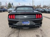 Certified 2022 Ford Mustang Premium image 6