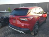 Used 2020 Ford Escape SEL image 2