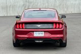 Used 2019 Ford Mustang Coupe image 5