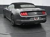 Used 2021 Ford Mustang Premium image 4