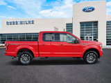 Used 2019 Ford F150 XLT w/ Equipment Group 302A Luxury image 2