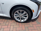 Used 2025 Cadillac CT5 Premium Luxury w/ Sun And Sound Package image 6