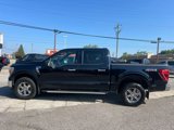 Used 2023 Ford F150 XLT w/ Equipment Group 302A High image 4