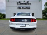 Used 2018 Ford Mustang Premium w/ Equipment Group 201A image 4