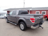 Used 2010 Ford F150 XLT image 4