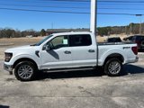 New 2025 Ford F150 XLT image 4