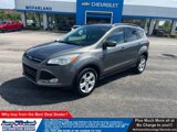 Used 2014 Ford Escape SE w/ Equipment Group 201A image 1
