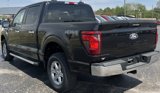New 2024 Ford F150 XLT image 6
