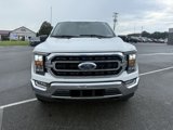 Used 2022 Ford F150 XLT w/ Equipment Group 302A High image 2